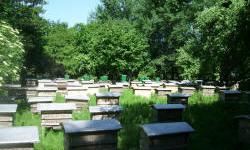 животноводство polagro каталог польских