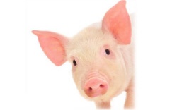 животноводство polagro каталог польских