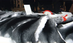 животноводство polagro каталог польских
 фирм