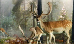 животноводство polagro каталог польских
 фирм