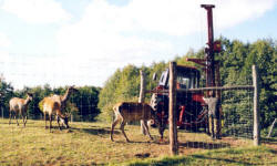 животноводство polagro каталог польских
 фирм