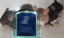 животноводство polagro каталог польских
 фирм