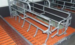 животноводство polagro каталог польских
 фирм